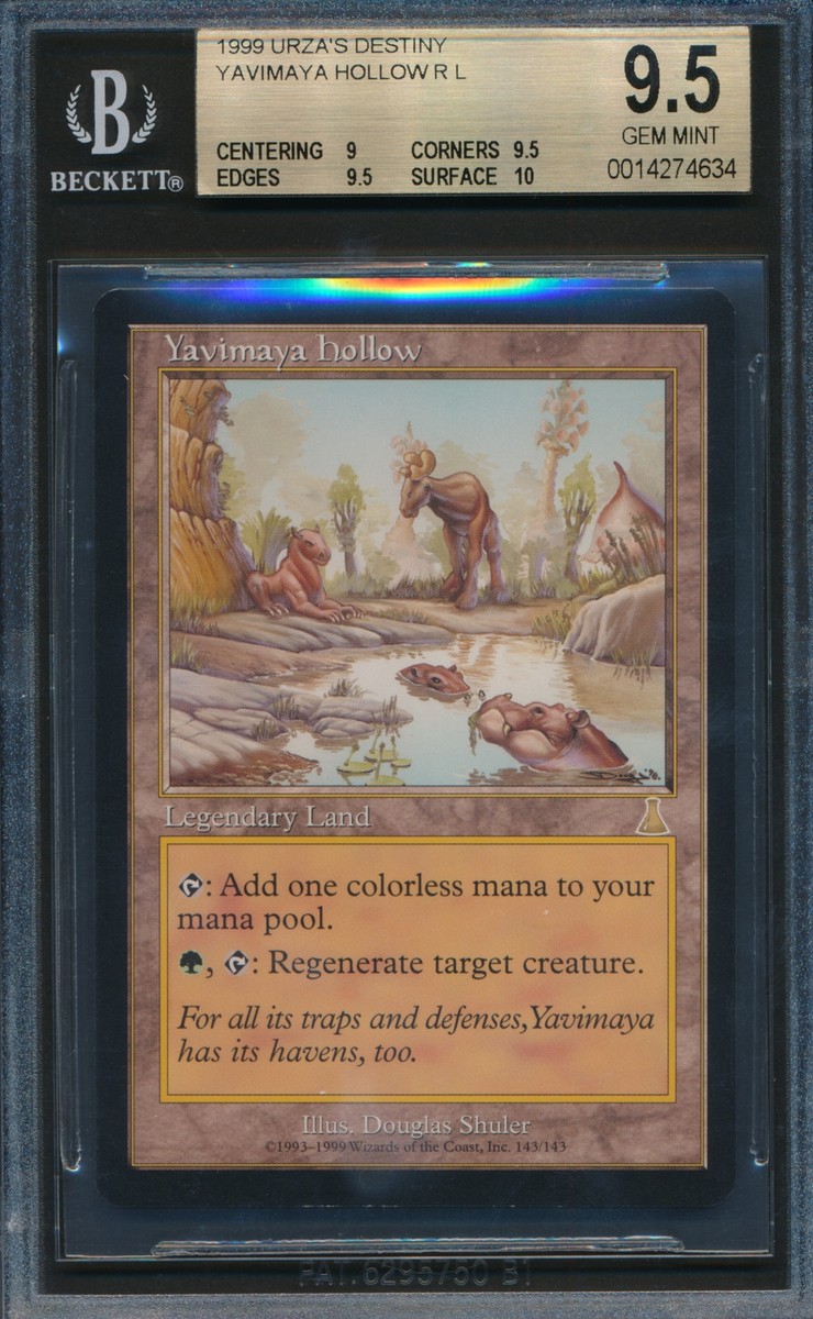 Urza's Destiny Yavimaya Hollow BGS 9.5 Graded Magic MTG