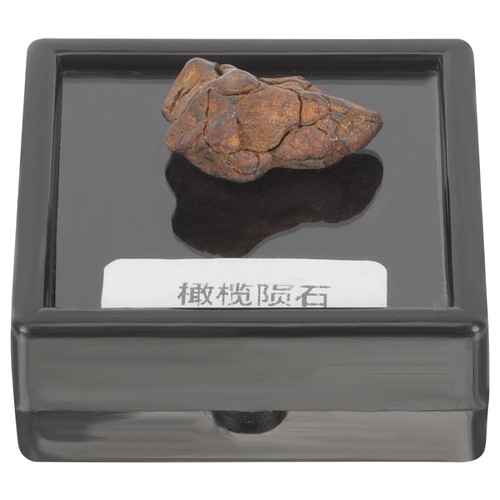 Meteorite Science Sample Real Asteroid Rock Child Mineral Specimen - Picture 7 of 12