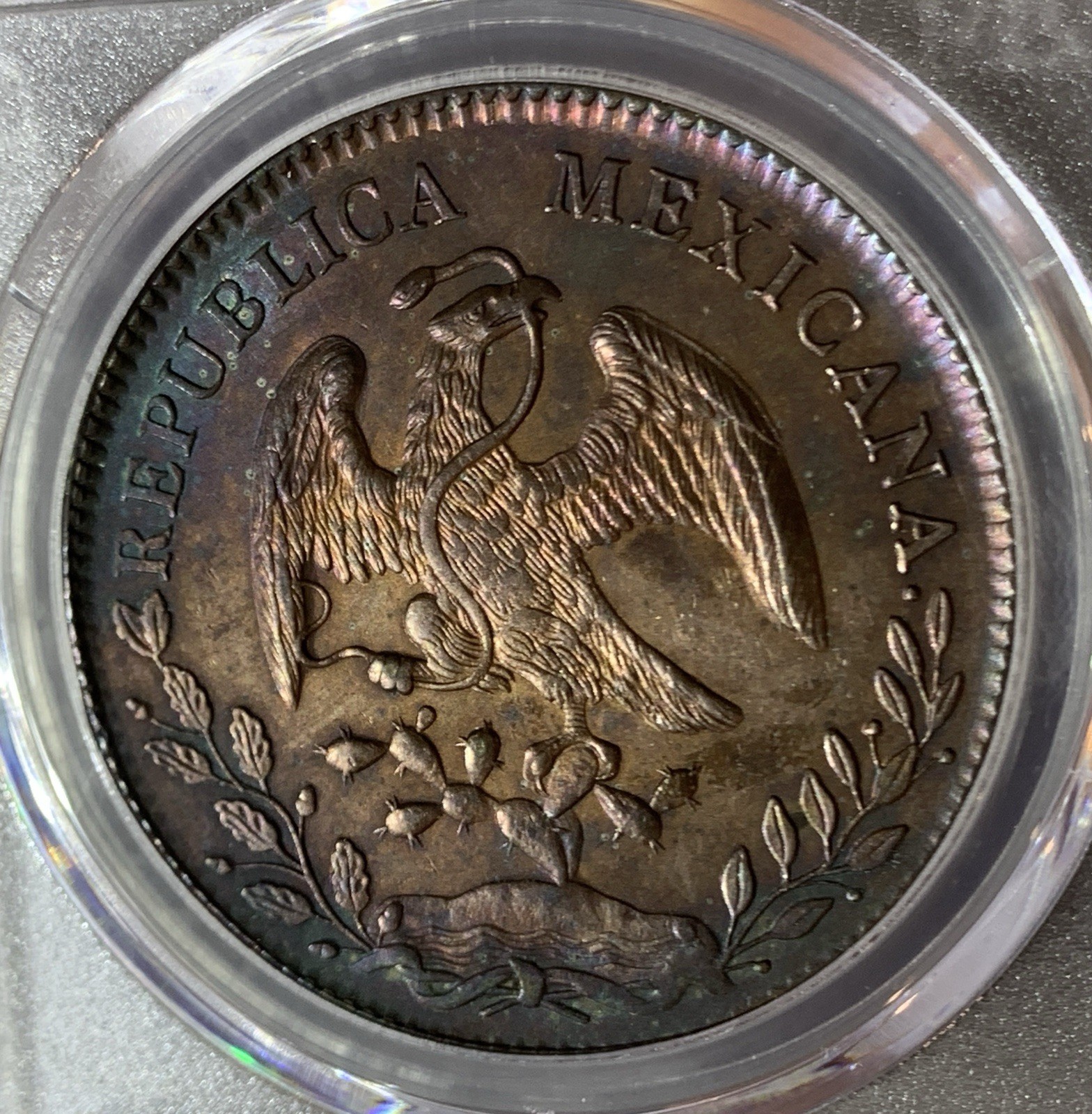 Picture 4 of 4
