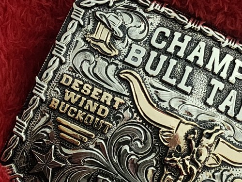 Rodeo BULLRIDING X~Treme Champion Trophy Buckle☆Douglas Arizona☆2003☆Rare☆14 - Picture 8 of 15