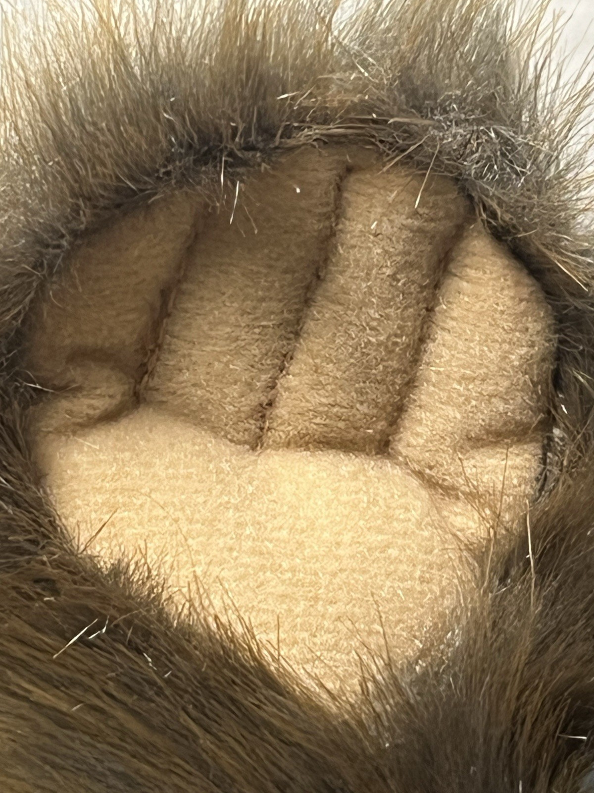 Foto 14 di 19