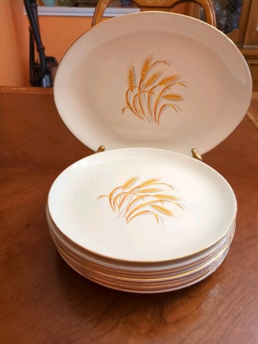 Plato de almuerzo Golden Wheat de HOMER LAUGHLIN Juego de 6 y 1 plato ovalado - Imagen 9 de 11