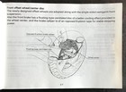 Picture 4 of 6
