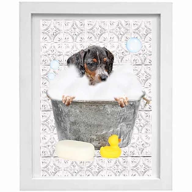 Dachshund bathroom wall art cheap