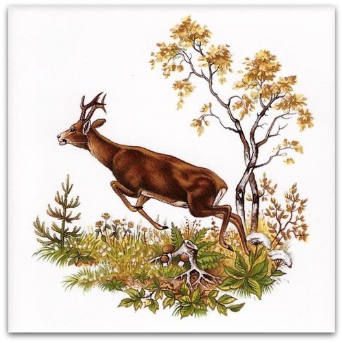 Azulejos decorativos 10x10 motivo de caza (caza, conejo, gema, zorro, pato salvaje, faisán) brillantes - Imagen 12 de 19