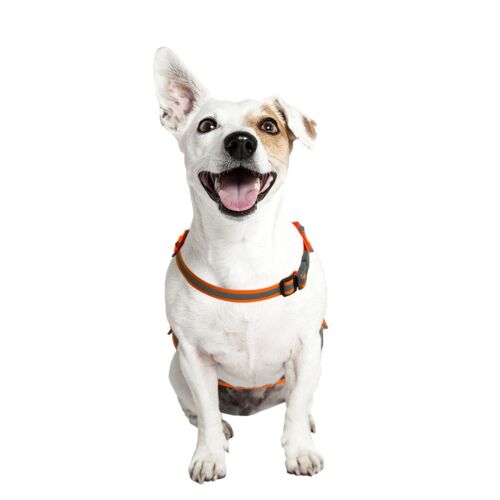 Kong Reflective Dog Safety Vest Walking High Visibility Outdoor Harness - Picture 6 of 7