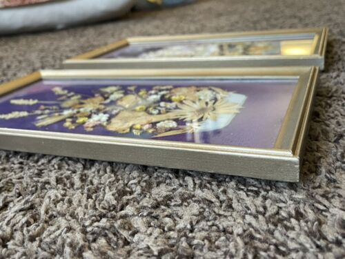 Coppia di semi fiori secchi pressati con cornice vintage composizione arte da parete quadro casetta - Foto 4 di 6