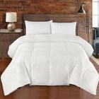 Silk Goose Down Comforter Warm Baffle Box 450 TC Off-White Solid Duvet Insert