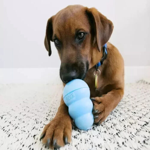 KONG Puppy Classic Dog Toy (Extra Small, Small, Medium, Large) - Picture 11 of 11