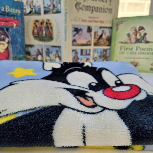 RARE Vtg Baby Blanket Looney Tunes Babies Sylvester Tweety Bird Scooter 1999 - Picture 9 of 14