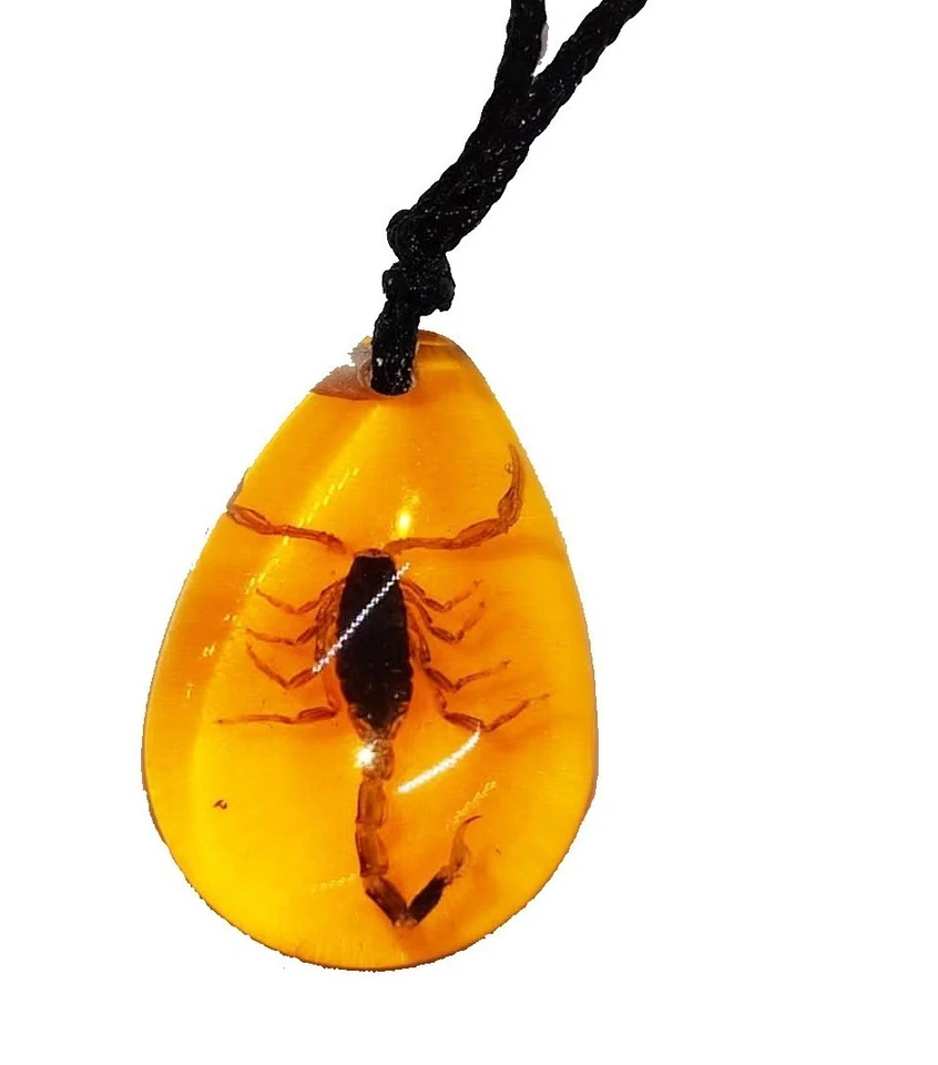 Mini Skorpion – Bernstein-Look 