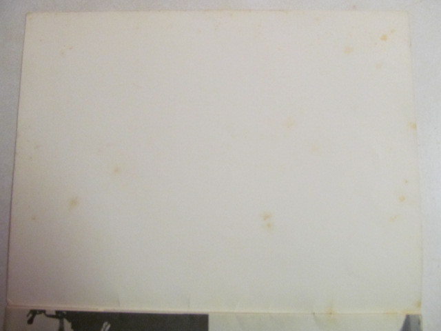 Picture 10 of 10