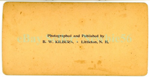 Chicago IL - VISTA DE PÁJARO DE LA EXPOSICIÓN COLOMBIANA - Kilburn Stereoview - Imagen 2 de 2