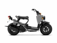 2022 Honda Ruckus