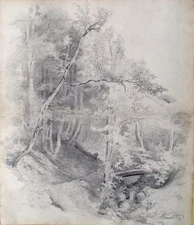 Dietrich Langko Ramsau Berchtesgaden forest fairytale forest enchanted forest trees