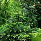 Bild 7 von 9