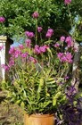 Bild 11 von 12