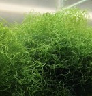 Foto 3 di 5