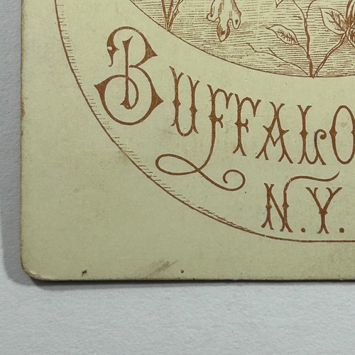 Tarjeta de gabinete joven con bigote retrato Mr. Spriegle búfalo Nueva York - Imagen 11 de 13
