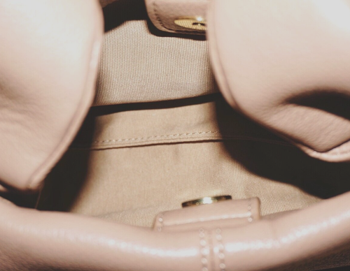 POLENE Edition Taupe (Beige) Leather NUMERO NEUF MINI Handbag 5.5x9 NO STRAP - Picture 5 of 13