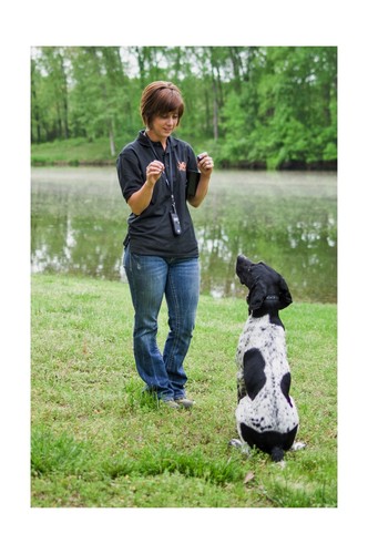 DT Systems IDT-Plus Micro Dog Trainer Collar Receiver and Transmitter, Black,... - Picture 5 of 6