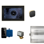 Mr Steam XButler® Steam Generator Control w/Satin Brass Bezel in Glass Blk