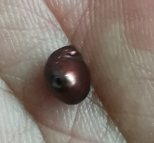 Charming About 4.6366x5.83x4.33mm chocolate reddish loose pearl full drilled