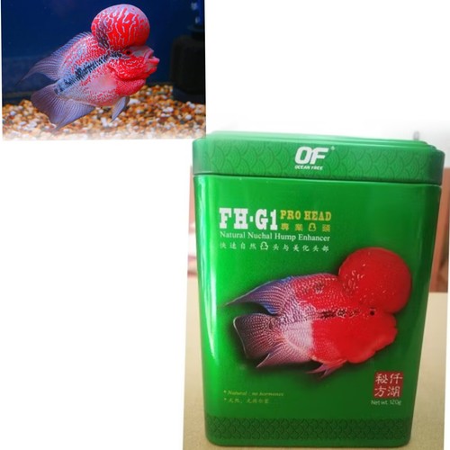 Ocean Free FH-G1 Flowerhorn Pro Head Nackelhöcker Enhancer Fischfutter 120g Mini