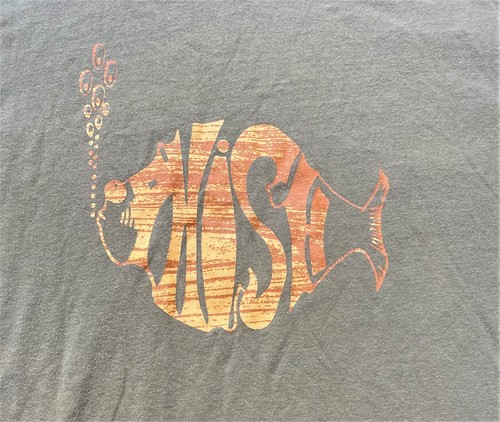 Maglietta PHISH Rock Band TOUR donna fascia marrone media da collezione - Foto 2 di 5