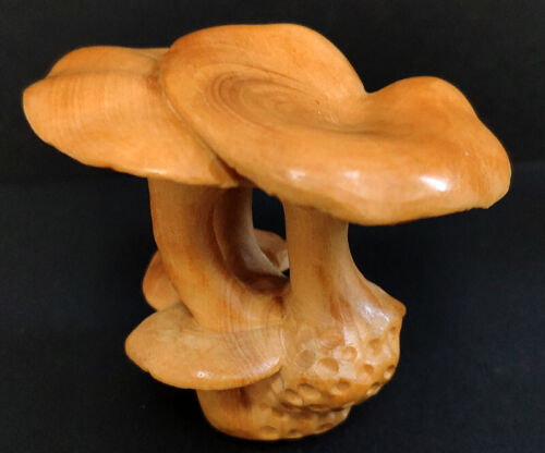 Collection art Chinese wood Boxwood Netsuke - Beautiful Mushroom hand piece gift - Picture 2 of 6
