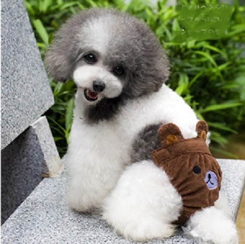 Cute Puppy Diaper Sanitary Pants Female Girl For SMALL Dogs Bear, Chick, Pig - Picture 5 of 7