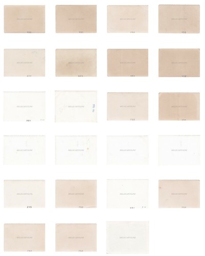 CILE - Viaggio in campagna - 23 foto - Foto 2 di 2