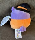 Foto 10 di 13