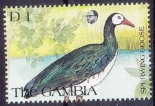Spur-winged Goose, Birds, Gambia 1991 MNH (V4n)
