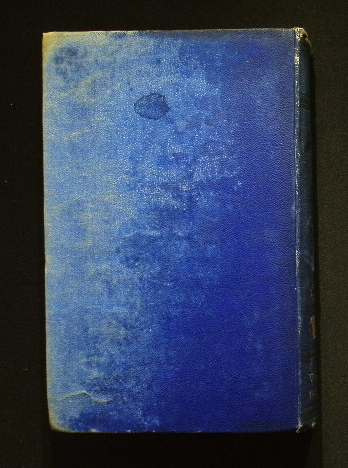 Picture 2 of 21