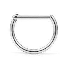 Ruifan 316L Stainless Steel D Shaped Hinged Seamless Segment Hoop Septum Clic...