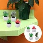  2 Count Kunstpflanzen Klein Bonsai Baum Künstlich Fake Sukkulent Realistische