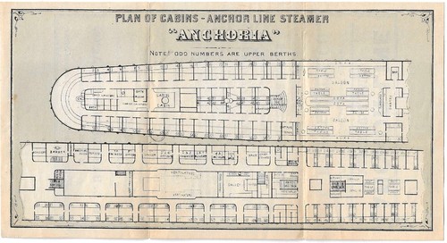 1879 Anchor Line Postdampfer Passagierliste Plan Anchoria Ausflug Antik - Bild 2 von 5