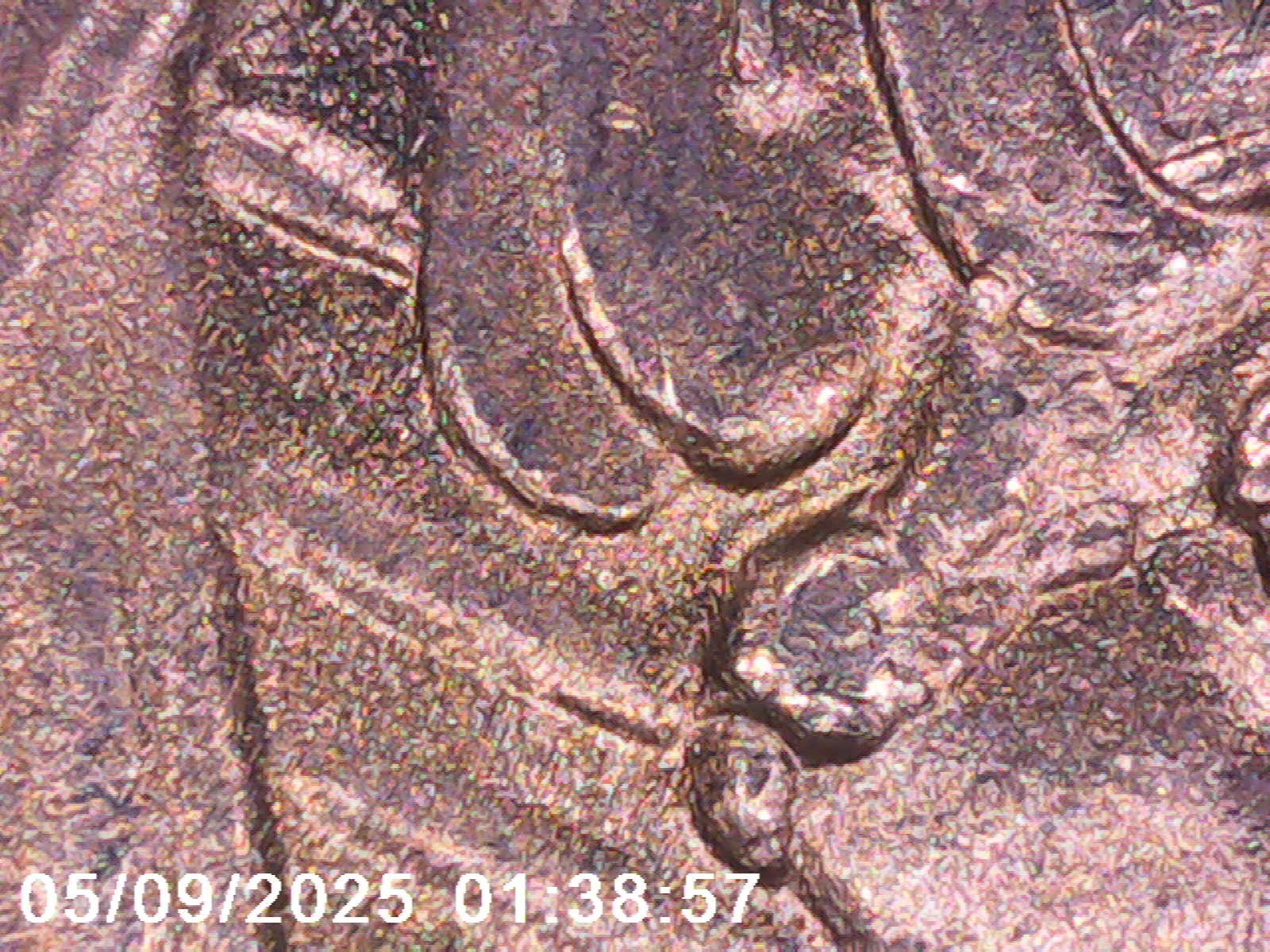 Bild 18 von 23