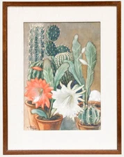 Willem Frederik Andrea (1875-1952) - Framed Watercolour, Still Life with Cacti