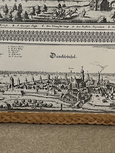 Vintage 19”x18” Wall Hanging Tea Tray Germany Merian Tübingen Dinkelsbühl German - Bild 6 von 9