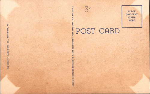 Postal Norfolk High School Norfolk Virginia lino sin publicar - Imagen 2 de 2