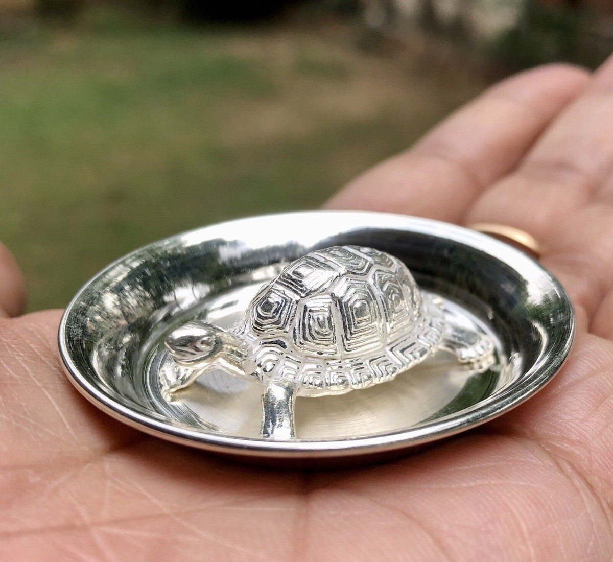 Silver kachua best sale