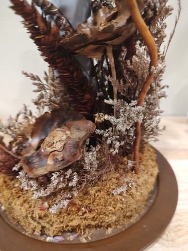 Vintage Kolonial Paar Figur, schwere Glasvitrine mit getrocknetem Laub *selten*LESEN - Bild 15 von 16