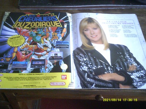 RARE / PROGRAMME DE CONCERT - DOROTHEE LIVE A PARIS 1992 - Imagen 13 de 16