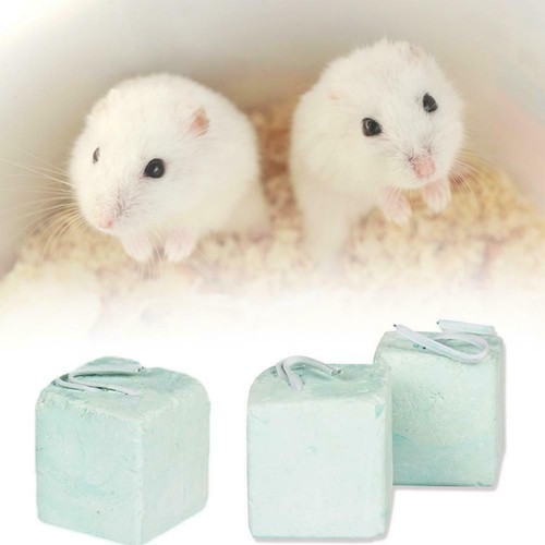Hamster Teeth Grinding Stone Mineral Calcium Rabbit Toys Rat E2V4-US NICE~ E2N0 - Picture 7 of 9