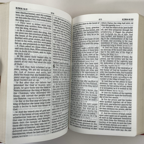 KJV persönliche Größe Riesendruck Referenz Bibel Kunstledereinband Hendrickson - Bild 20 von 24