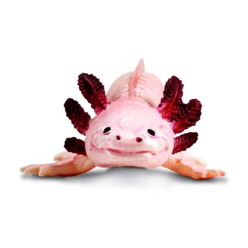 Safari Ltd Axolotl Toy Figure, #SAF104650 - Picture 4 of 7