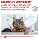 Bild 8 von 9