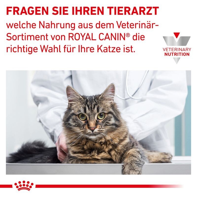 Bild 8 von 9